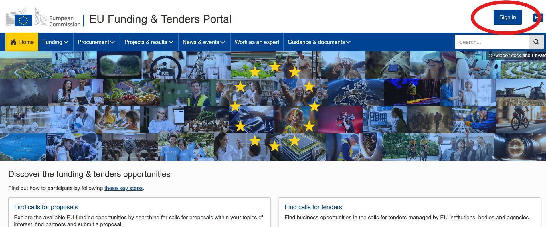 EU Funding & tenders portal