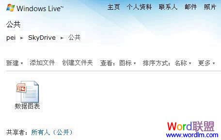 Skydrive�ռ�鿴